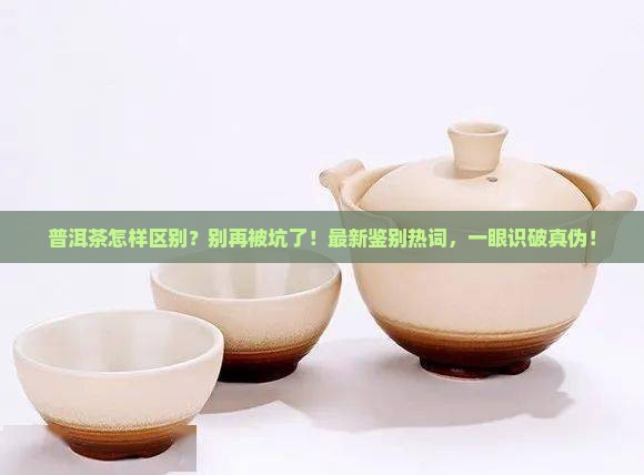 普洱茶怎样区别