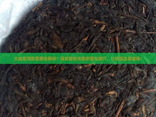 大益普洱茶需要洗茶吗