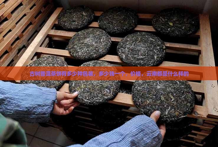 古树普洱茶饼有多少种包装