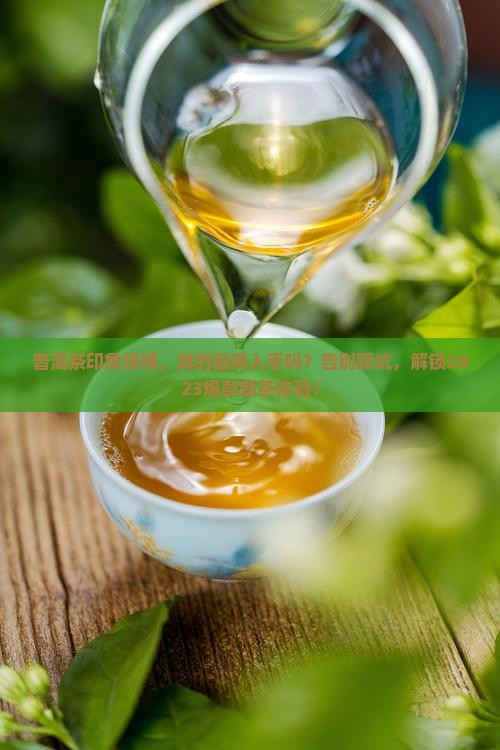 普洱茶印象银博
