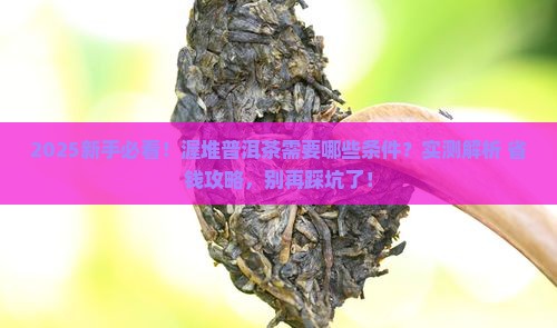 普洱茶渥堆需要的条件有哪些