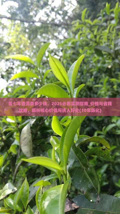 零七年普洱茶多少钱