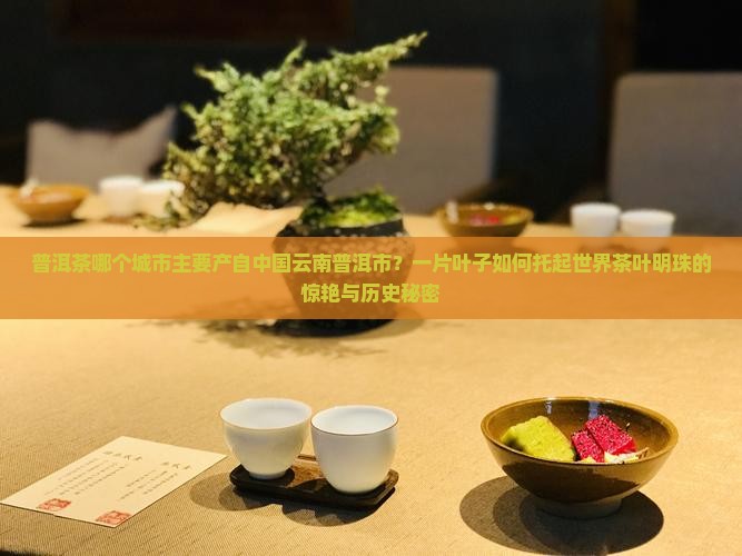 普洱茶哪个城市的