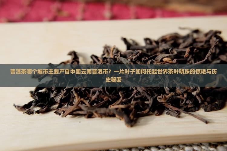 普洱茶哪个城市的