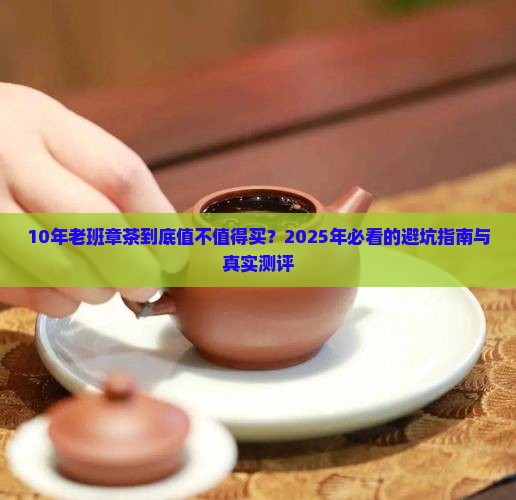 10年老班章茶