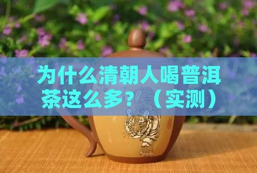 清朝的普洱茶为什么那么多