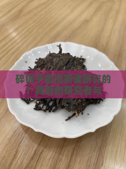 碎银子普洱茶谁研究的