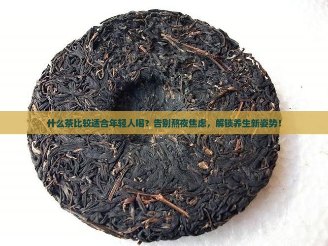 什么茶比较适合年轻人喝