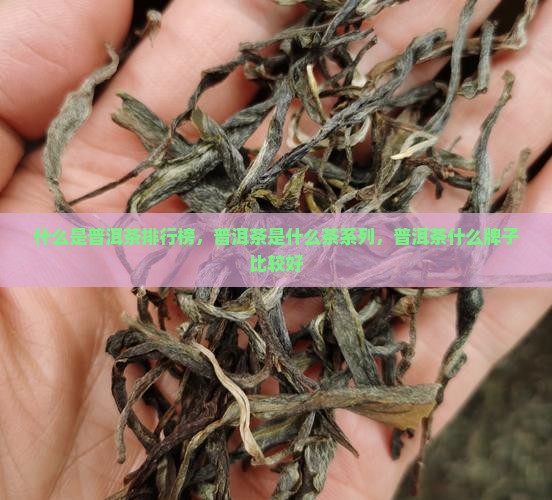 什么是普洱茶品牌排行榜