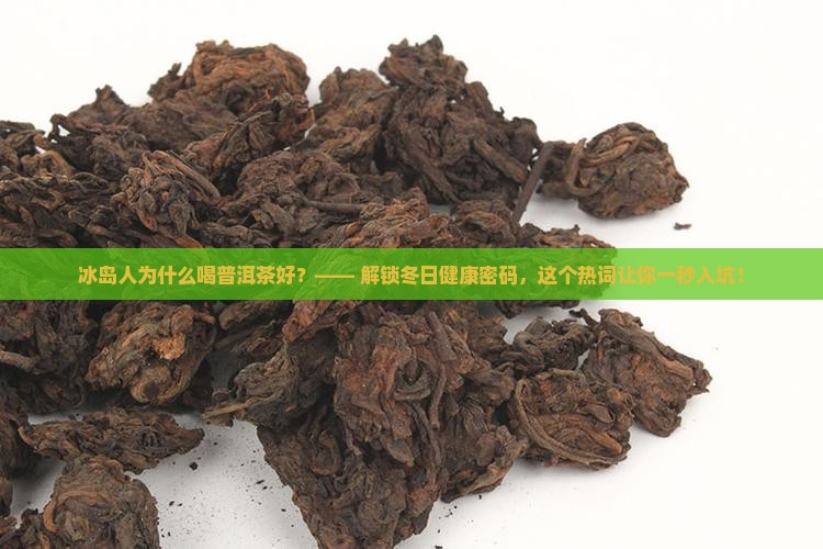 冰岛人为什么喝普洱茶好