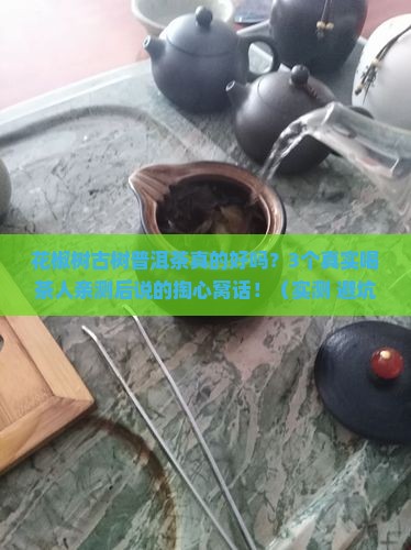 花椒树古树普洱茶好吗