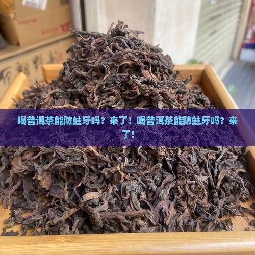 喝普洱茶能防蛀牙吗 喝普洱茶能防蛀牙吗