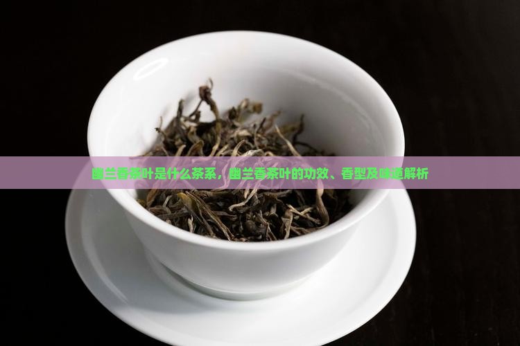幽兰香茶叶是什么茶系