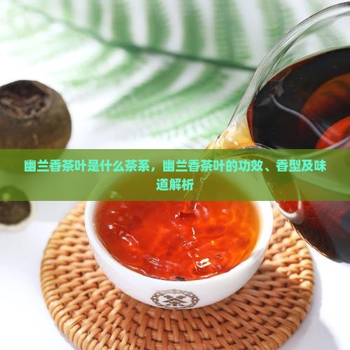 幽兰香茶叶是什么茶系