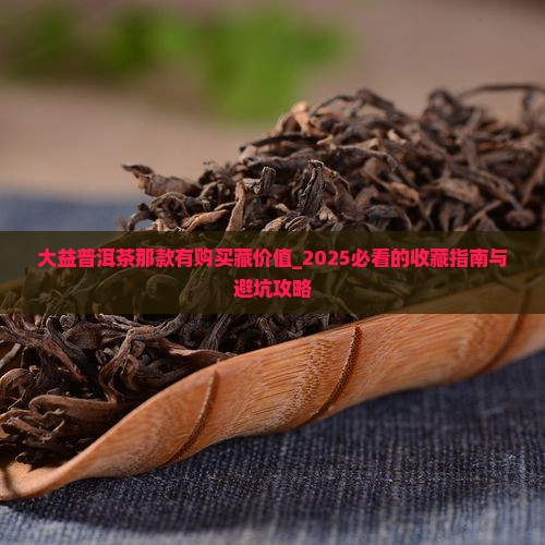 大益普洱茶那款有购买藏价值