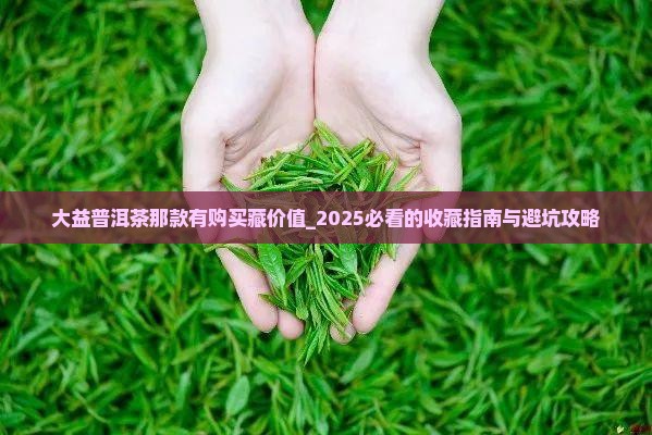 大益普洱茶那款有购买藏价值