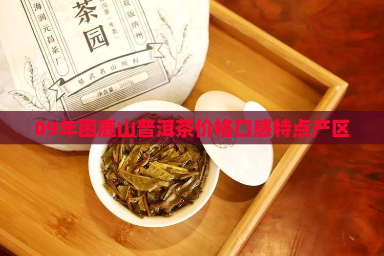09年困鹿山普洱茶