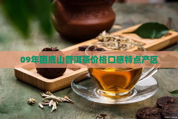 09年困鹿山普洱茶