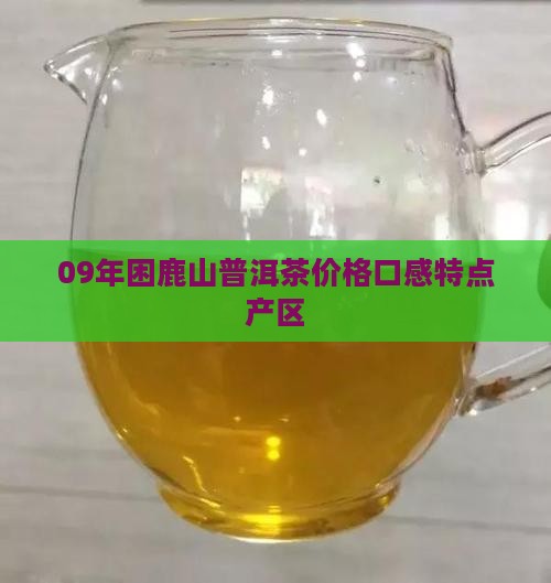 09年困鹿山普洱茶
