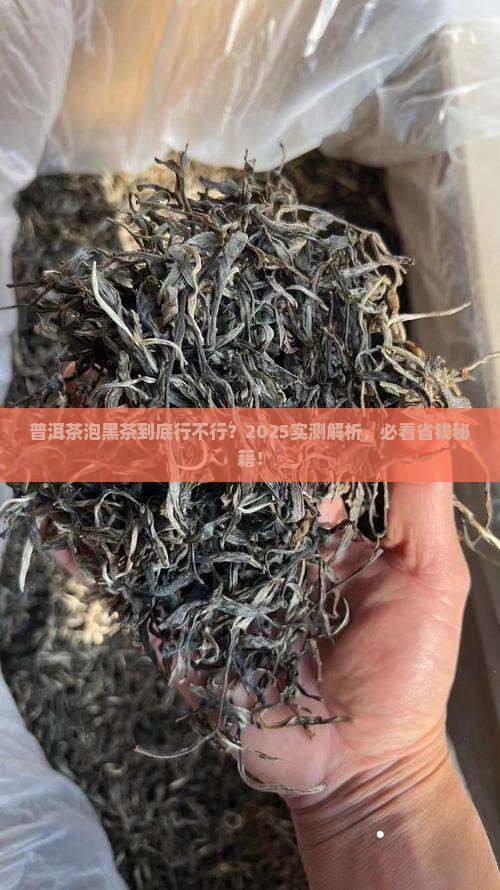 普洱茶能不能泡黑茶