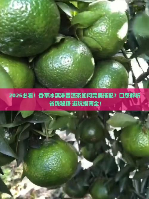 香草冰淇淋普洱茶