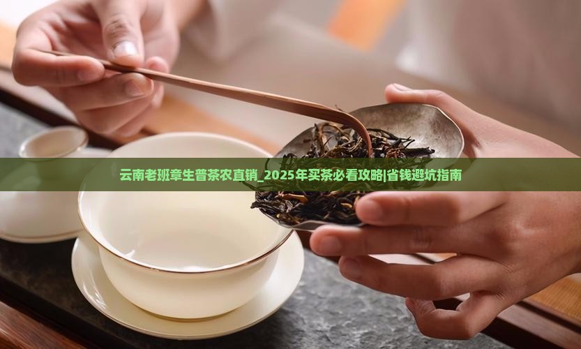 云南老班章生普茶农直销 云南老班章生普茶农直销