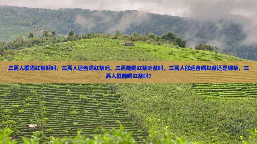 三高人群喝红茶好吗