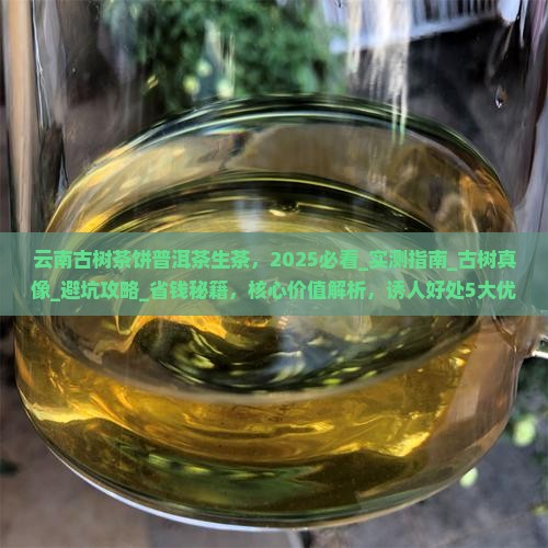 云南古树茶饼普洱茶生茶