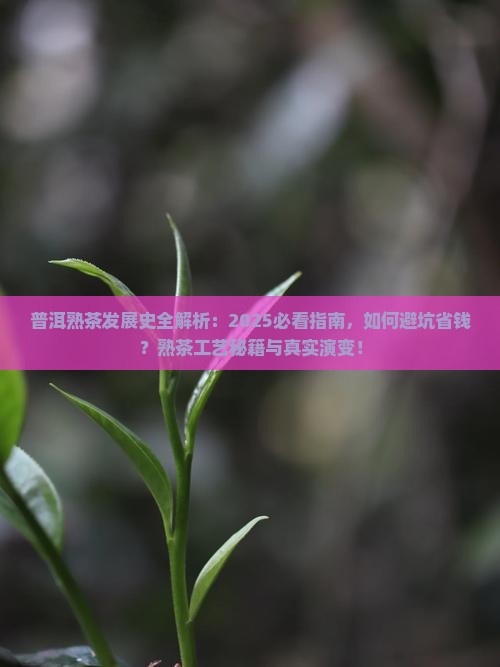普洱茶的熟茶发展史