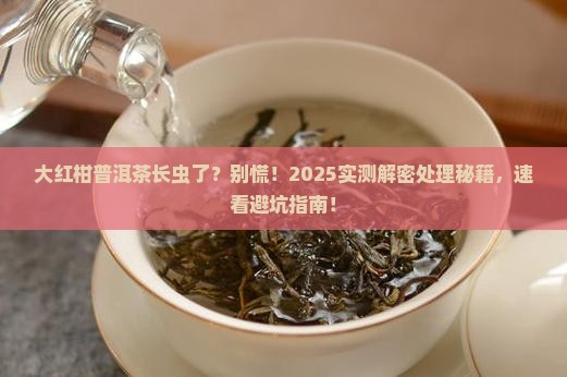 大红柑普洱茶长虫如何处理