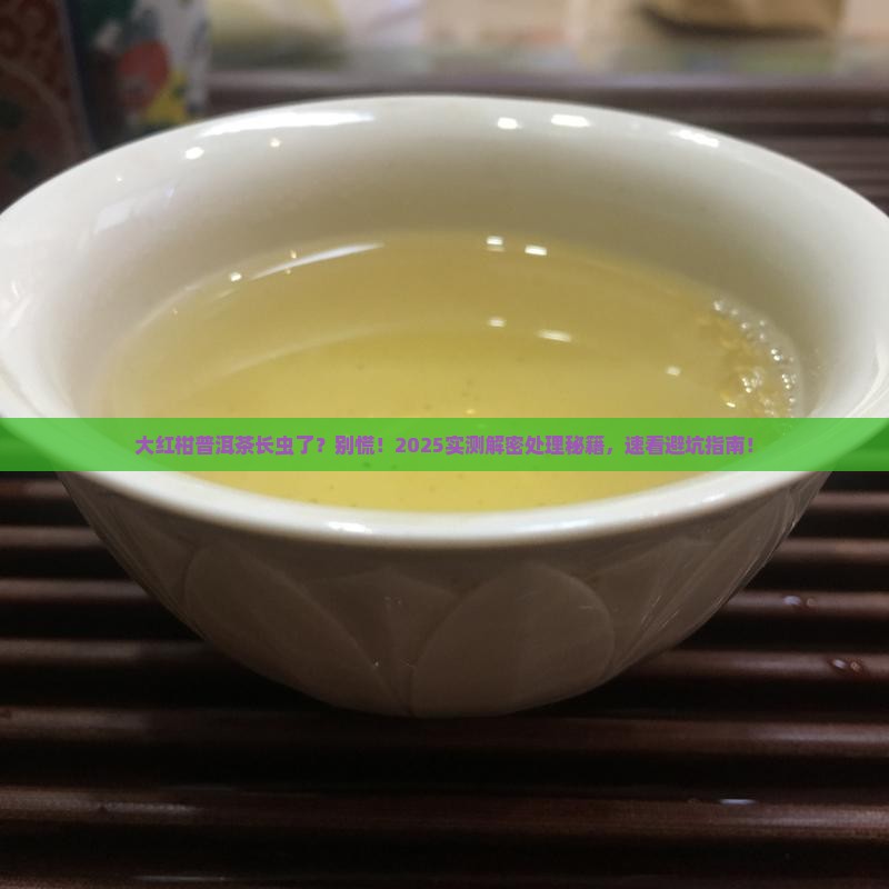 大红柑普洱茶长虫如何处理