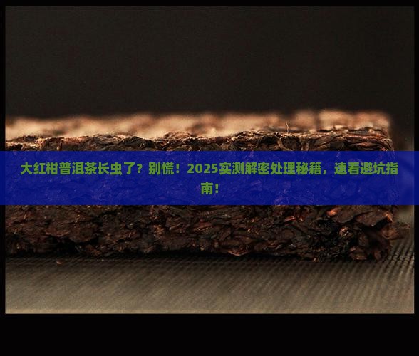 大红柑普洱茶长虫如何处理