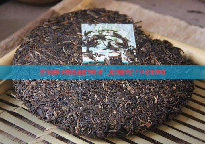 普洱茶买云南还是西双版纳
