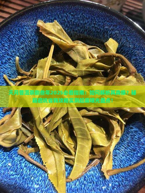 天月普洱茶捌叁年