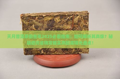 天月普洱茶捌叁年