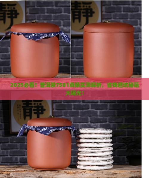 2017年普洱茶7581