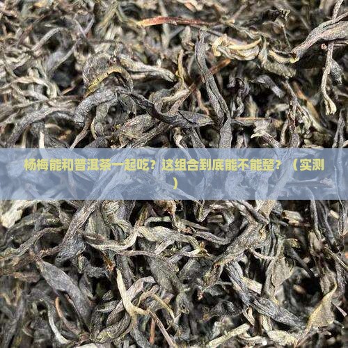 杨梅可以和普洱茶一起吃吗