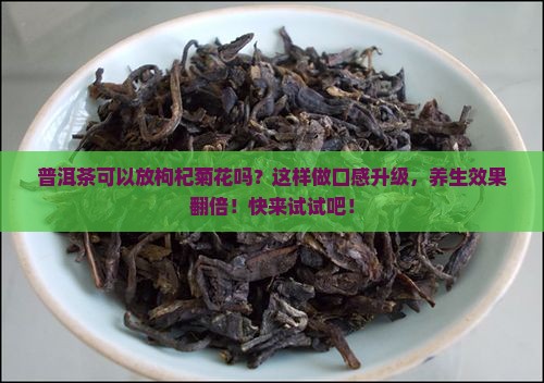 普洱茶可以放枸杞菊花吗