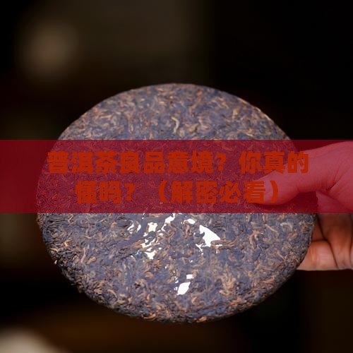 普洱茶良品意境