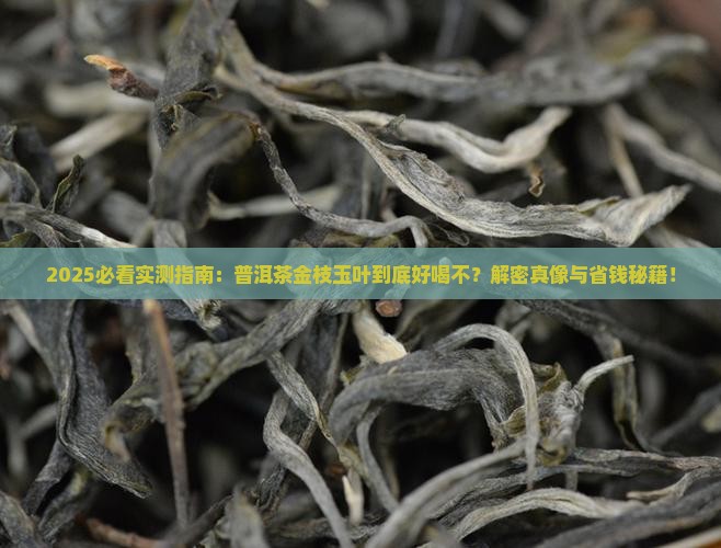 普洱茶金枝玉叶好喝吗
