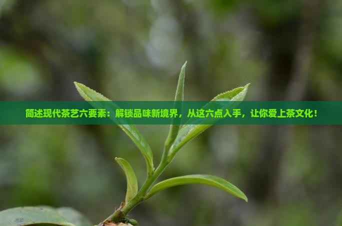 简述现代茶艺六要素