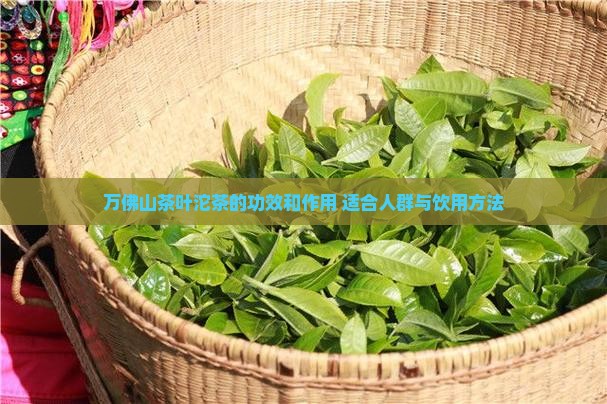 万佛山茶叶沱茶的功效和作用