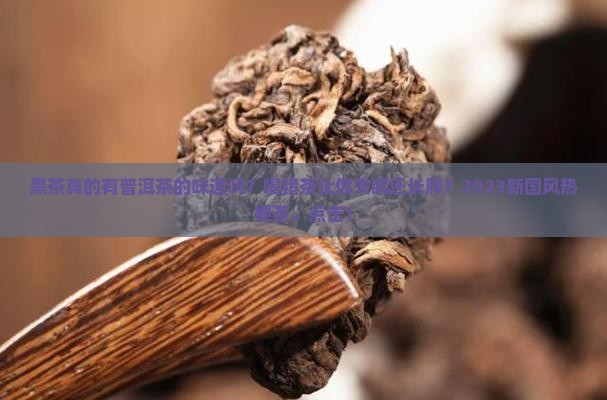黑茶有普洱茶的味道