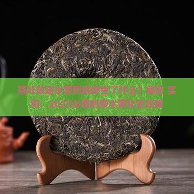 茶叶放入水中的变化