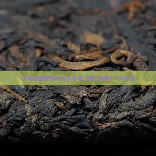 小青柑普洱茶用什么水泡