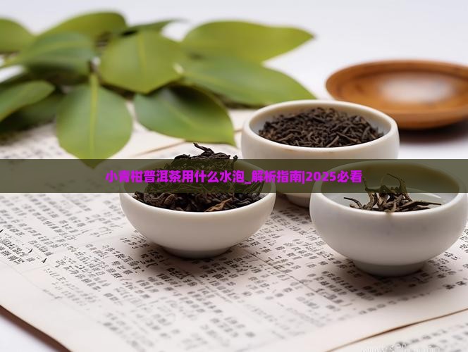 小青柑普洱茶用什么水泡