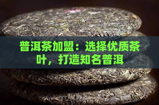 大同普洱茶加盟
