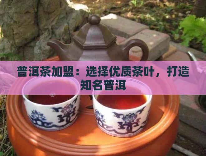 大同普洱茶加盟
