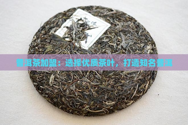 大同普洱茶加盟