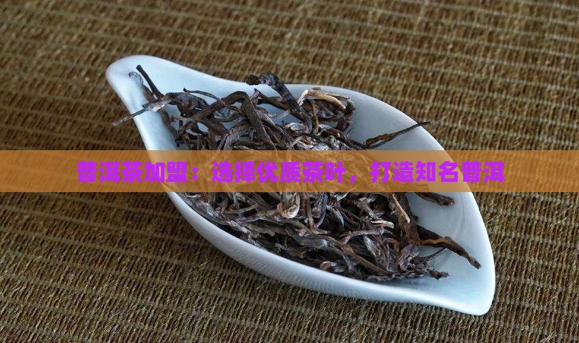 大同普洱茶加盟